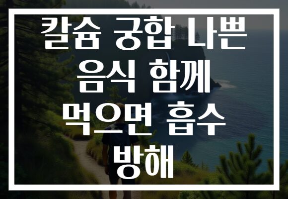 칼슘 궁합 나쁜 음식 함께 먹으면 흡수 방해