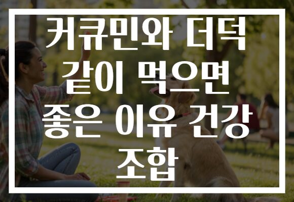 커큐민와 더덕 같이 먹으면 좋은 이유 건강 조합