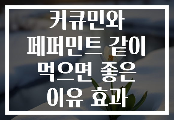 커큐민와 페퍼민트 같이 먹으면 좋은 이유 효과