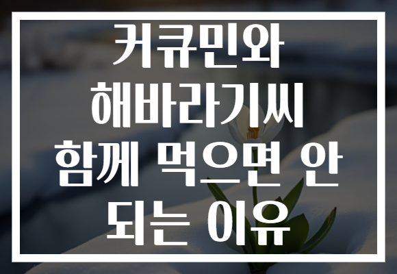 커큐민와 해바라기씨 함께 먹으면 안 되는 이유