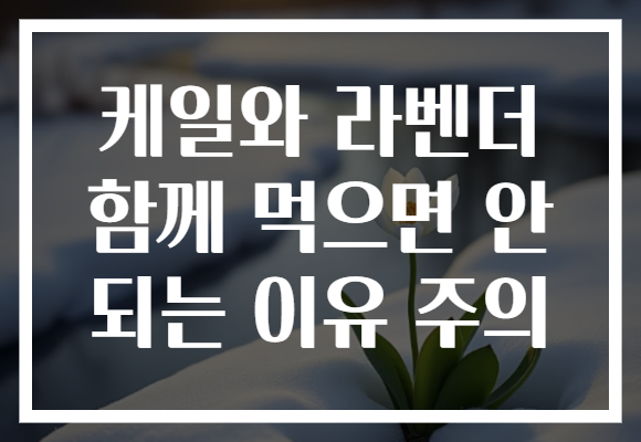 케일와 라벤더 함께 먹으면 안 되는 이유 주의