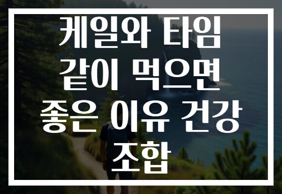 케일와 타임 같이 먹으면 좋은 이유 건강 조합