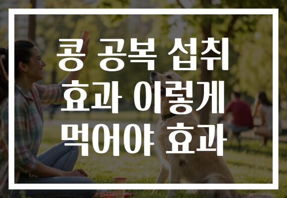 콩 공복 섭취 효과 이렇게 먹어야 효과