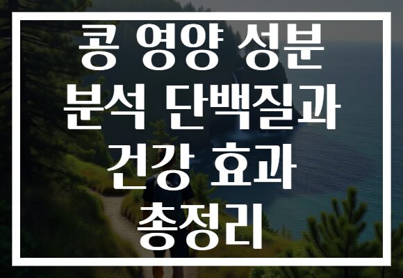 콩 영양 성분 분석 단백질과 건강 효과 총정리