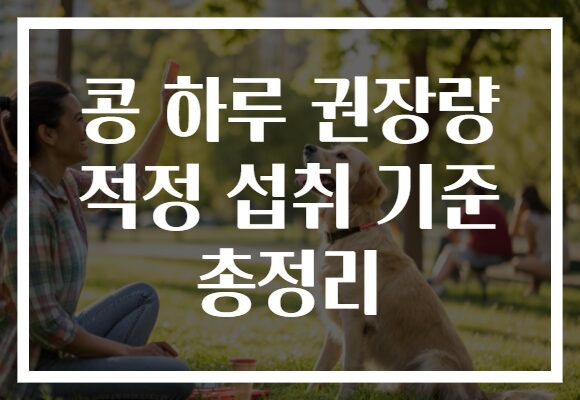 콩 하루 권장량 적정 섭취 기준 총정리