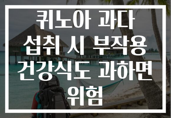 퀴노아 과다 섭취 시 부작용 건강식도 과하면 위험