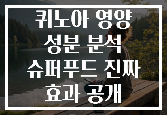 퀴노아 영양 성분 분석 슈퍼푸드 진짜 효과 공개