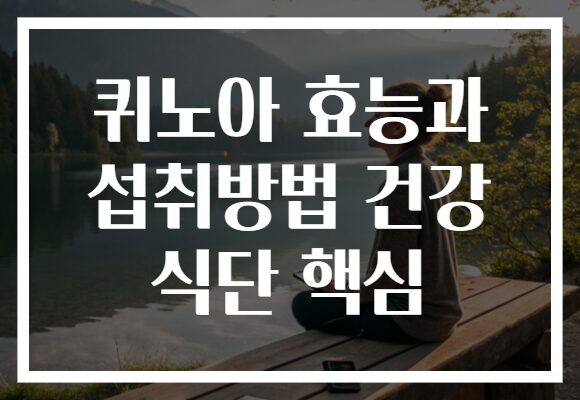 퀴노아 효능과 섭취방법 건강 식단 핵심