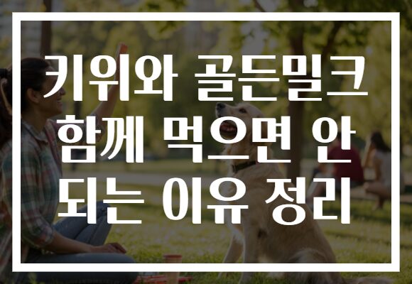 키위와 골든밀크 함께 먹으면 안 되는 이유 정리