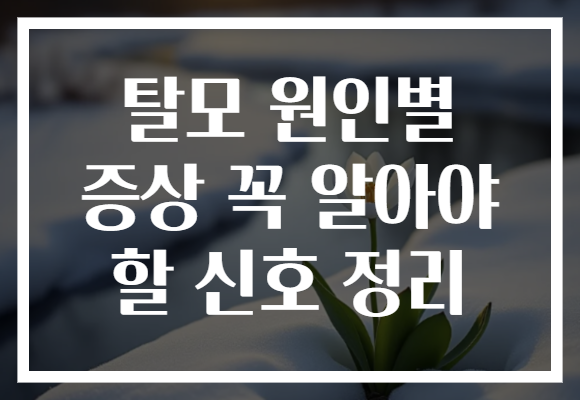 탈모 원인별 증상 꼭 알아야 할 신호 정리