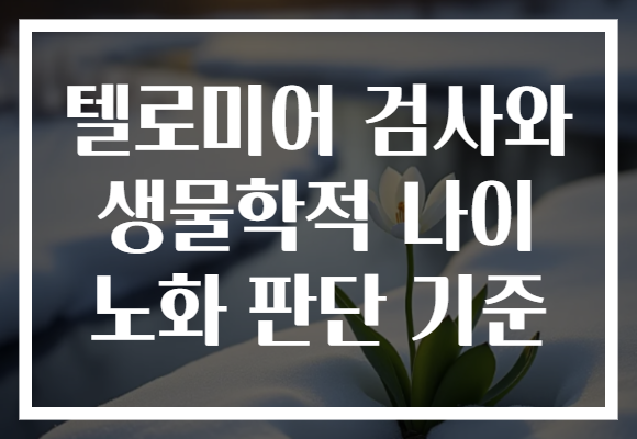 텔로미어 검사와 생물학적 나이 노화 판단 기준