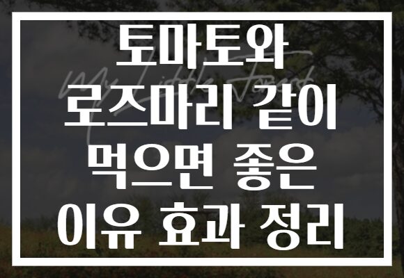 토마토와 로즈마리 같이 먹으면 좋은 이유 효과 정리