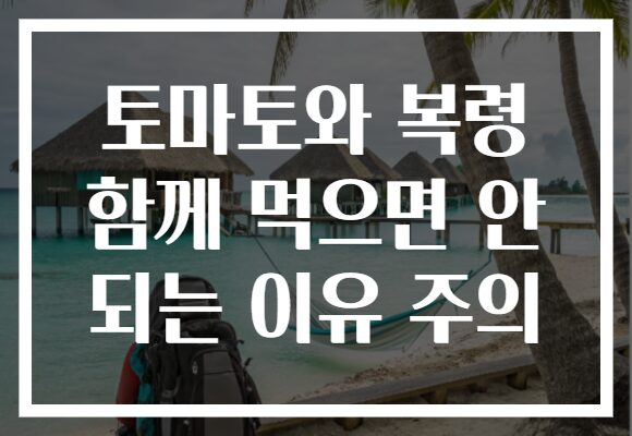 토마토와 복령 함께 먹으면 안 되는 이유 주의