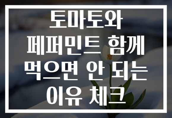 토마토와 페퍼민트 함께 먹으면 안 되는 이유 체크