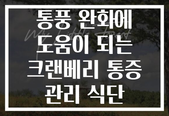 통풍 완화에 도움이 되는 크랜베리 통증 관리 식단