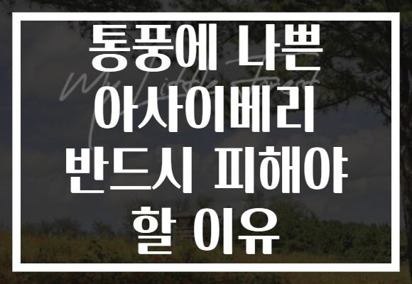 통풍에 나쁜 아사이베리 반드시 피해야 할 이유