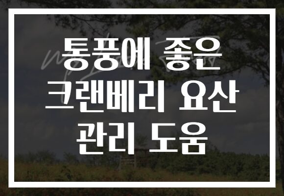 통풍에 좋은 크랜베리 요산 관리 도움