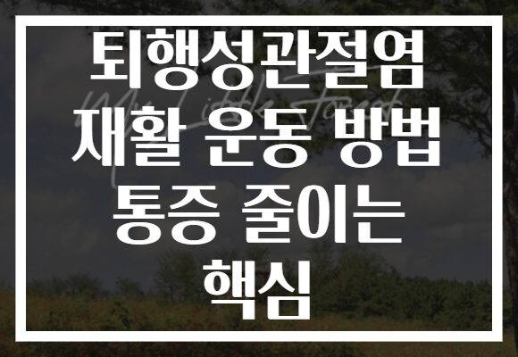 퇴행성관절염 재활 운동 방법 통증 줄이는 핵심