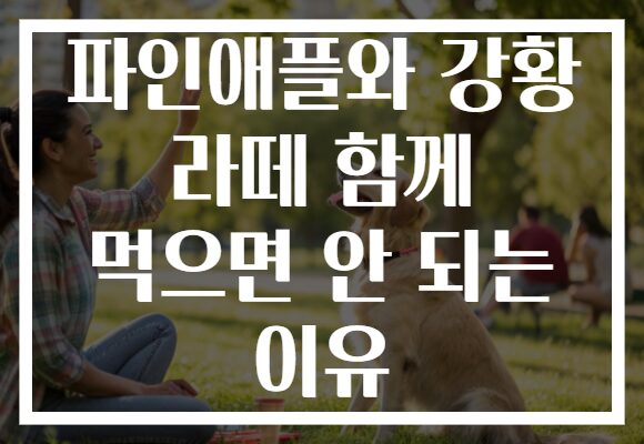 파인애플와 강황 라떼 함께 먹으면 안 되는 이유