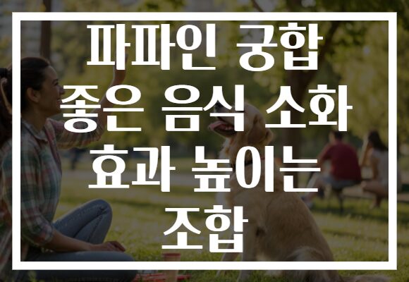 파파인 궁합 좋은 음식 소화 효과 높이는 조합