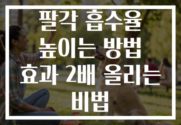 팔각 흡수율 높이는 방법 효과 2배 올리는 비법