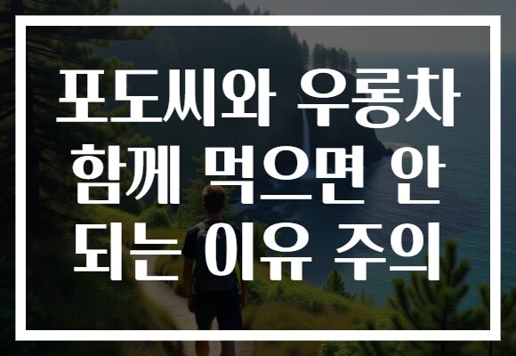 포도씨와 우롱차 함께 먹으면 안 되는 이유 주의