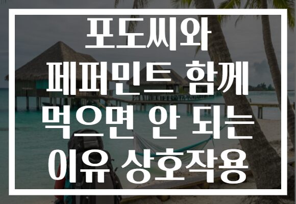 포도씨와 페퍼민트 함께 먹으면 안 되는 이유 상호작용