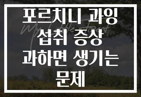 포르치니 과잉 섭취 증상 과하면 생기는 문제