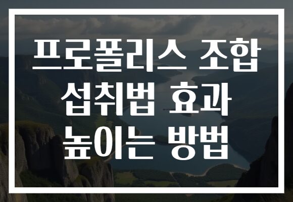 프로폴리스 조합 섭취법 효과 높이는 방법