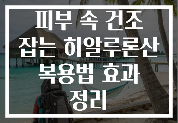 피부 속 건조 잡는 히알루론산 복용법 효과 정리