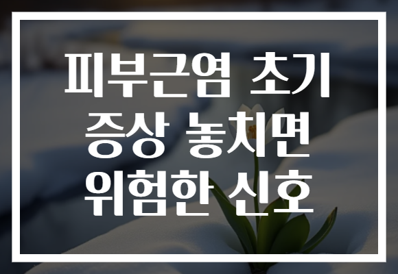 피부근염 초기 증상 놓치면 위험한 신호