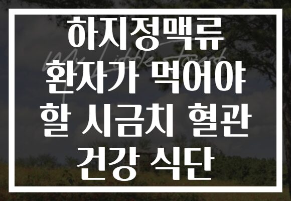 하지정맥류 환자가 먹어야 할 시금치 혈관 건강 식단