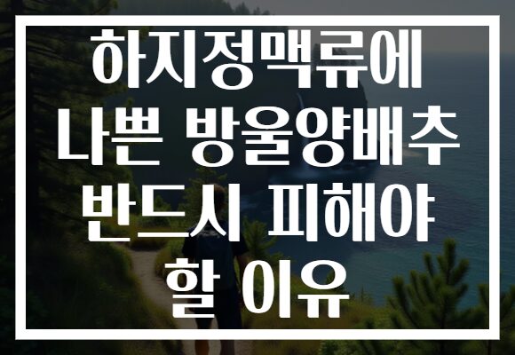 하지정맥류에 나쁜 방울양배추 반드시 피해야 할 이유