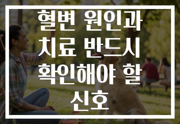 혈변 원인과 치료 반드시 확인해야 할 신호
