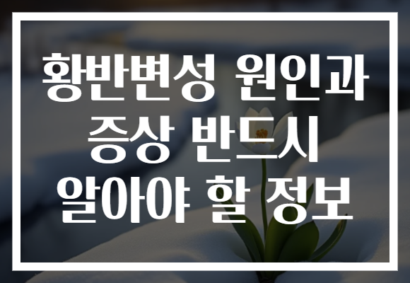 황반변성 원인과 증상 반드시 알아야 할 정보