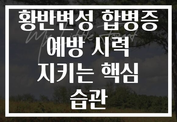 황반변성 합병증 예방 시력 지키는 핵심 습관
