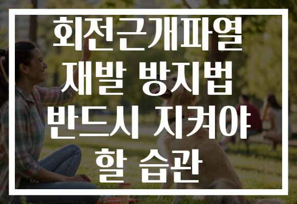 회전근개파열 재발 방지법 반드시 지켜야 할 습관