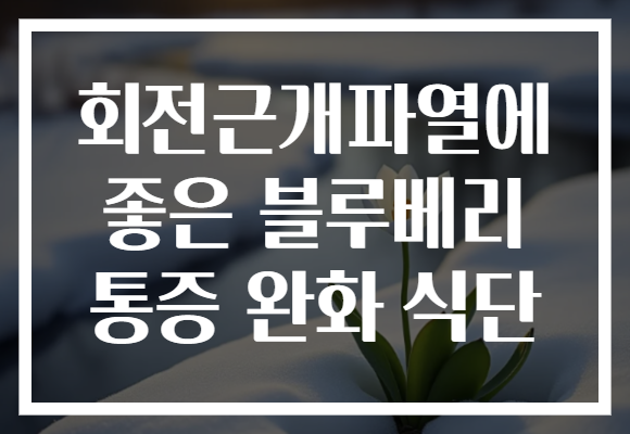 회전근개파열에 좋은 블루베리 통증 완화 식단