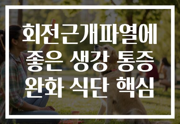 회전근개파열에 좋은 생강 통증 완화 식단 핵심