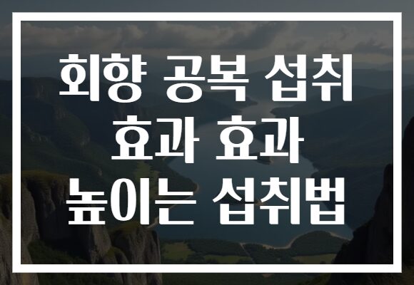 회향 공복 섭취 효과 효과 높이는 섭취법