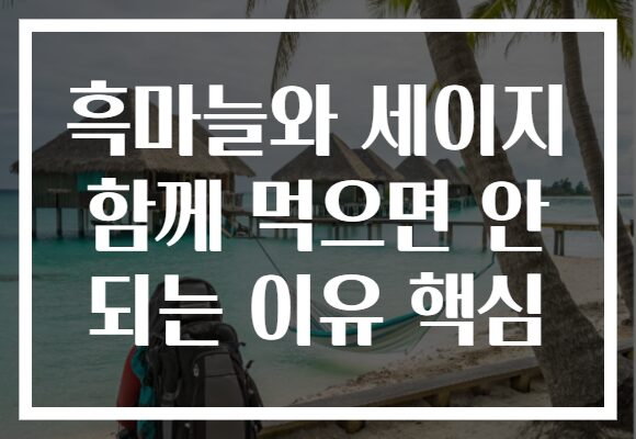흑마늘와 세이지 함께 먹으면 안 되는 이유 핵심