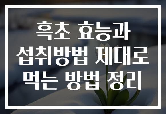 흑초 효능과 섭취방법 제대로 먹는 방법 정리