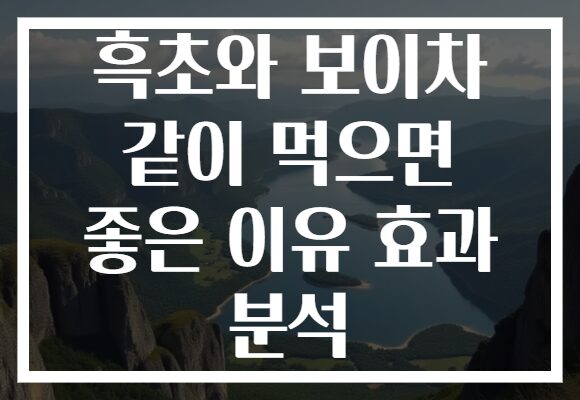 흑초와 보이차 같이 먹으면 좋은 이유 효과 분석