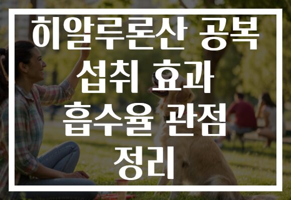 히알루론산 공복 섭취 효과 흡수율 관점 정리