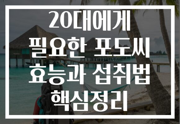 20대에게 필요한 포도씨 효능과 섭취법 핵심정리