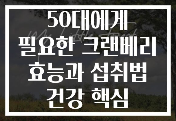 50대에게 필요한 크랜베리 효능과 섭취법 건강 핵심