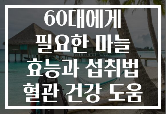 60대에게 필요한 마늘 효능과 섭취법 혈관 건강 도움