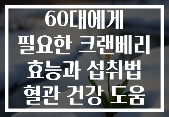 60대에게 필요한 크랜베리 효능과 섭취법 혈관 건강 도움