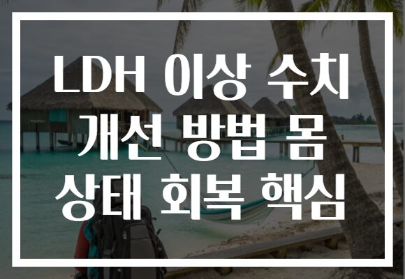 LDH 이상 수치 개선 방법 몸 상태 회복 핵심