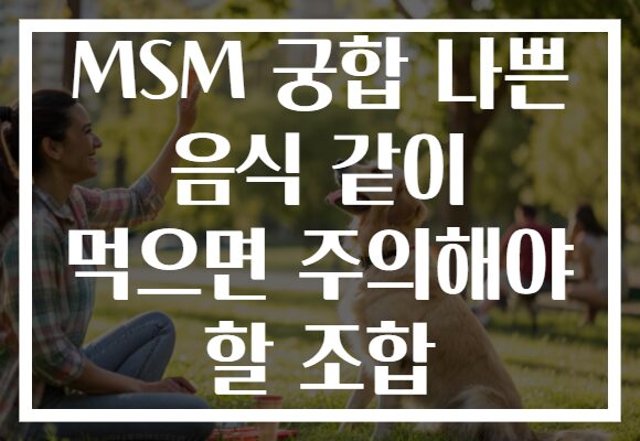 MSM 궁합 나쁜 음식 같이 먹으면 주의해야 할 조합